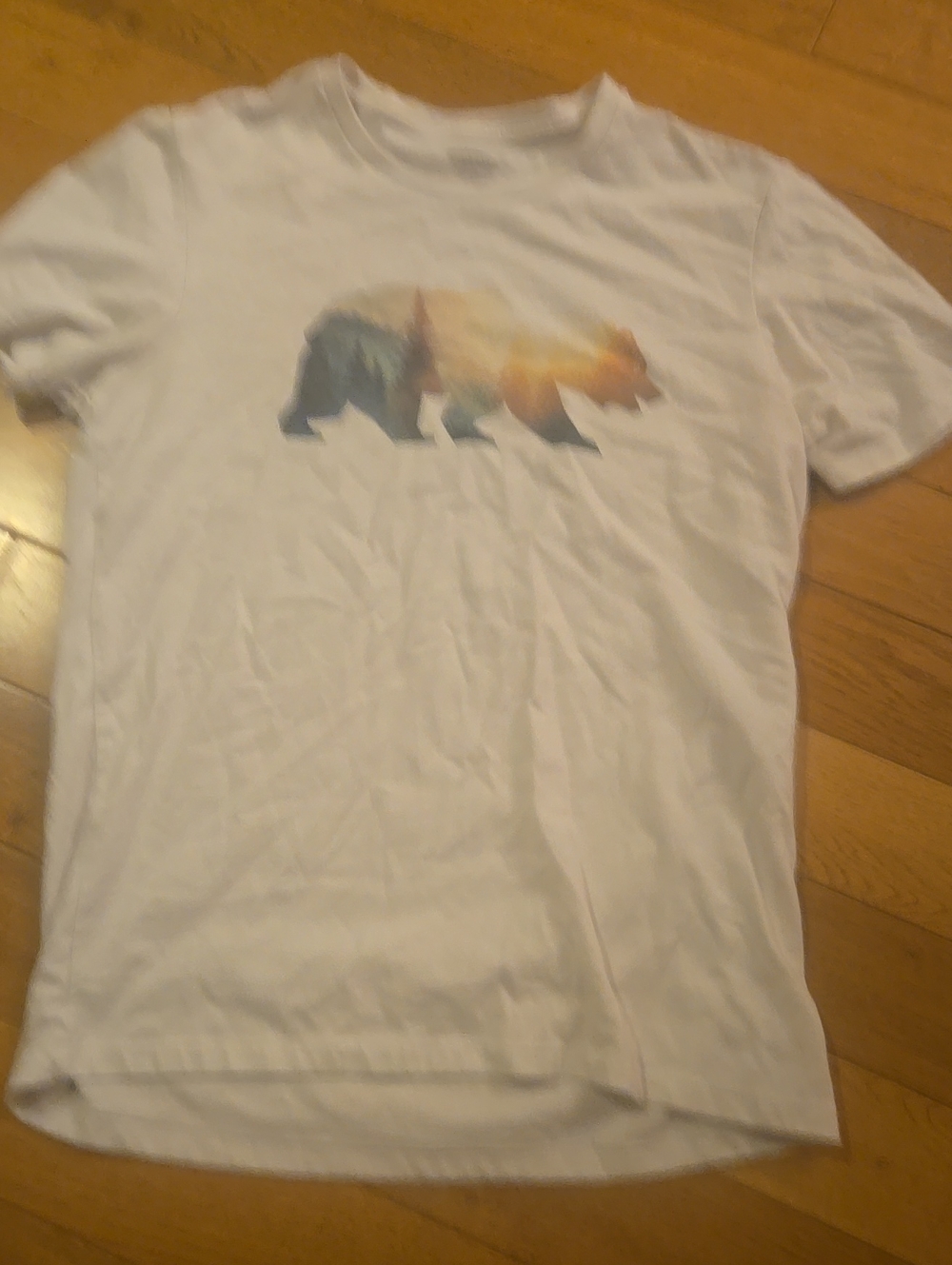 Old Navy White Short Sleeve Tee with Sunset Bear Graphic